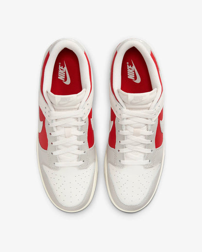 Dunk Low 'Iron Gym Red'